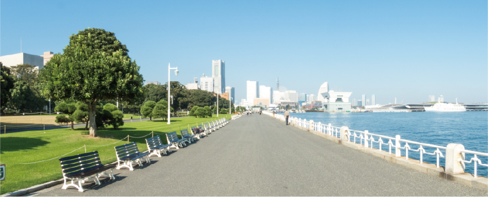海辺の公園と横浜の街並み